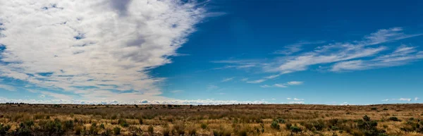 Wschodniej Washington Palouse Rozległym Pustyni Widokiem Błękitne Niebo Chmury — Zdjęcie stockowe