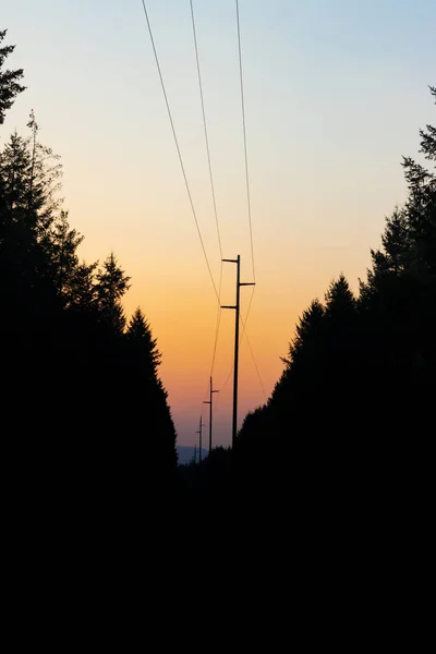 Nascer Sol Nublado Escuro Com Silhueta Árvore Linhas Energia — Fotografia de Stock