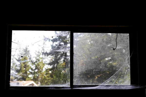 Vuile Oude Verwaarloosde Spinnenweb Gedekt Venster Uitzicht Bos Bomen — Stockfoto