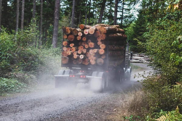 Logging truck hauling a full load down a dusty dirt road in the forest
