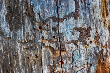 Ahşap tahta duvar doku deseninin