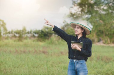 Asyalı kadınlar tablet kullanıyor. Akıllı çiftçileri kontrol ediyorlar.