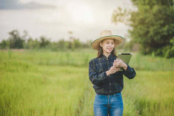 Asian women farmer using tablet concept smart farmer