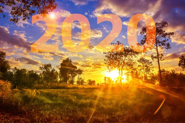 2020 Bei Blauem Himmel Sonnenuntergang Abendschönheit Der Natur Frohes Neues — Stockfoto