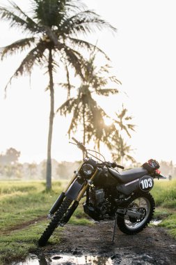  Özel kafe racer siyah motosiklet yarış için hazır pirinç alanlardaki güneş doğarken palmiye ağaçları ile arka planda Tabanan, Bali, Endonezya