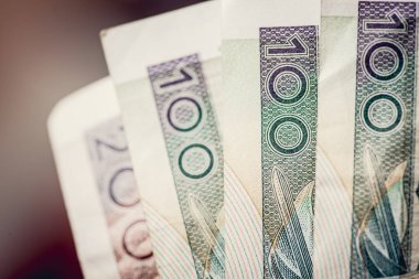Polonya Zlotisi beş yüz. Çok yakın görünümü. 500 Pln