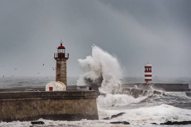 Felgueiras deniz feneri, Porto, fırtınalı hava büyük dalgalar ile