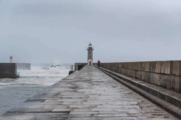 Faro Felgueiras Oporto Clima Tormentoso Con Olas Enormes — Foto de Stock