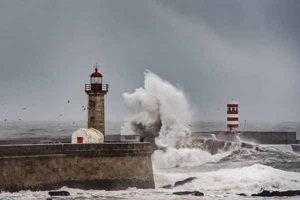 巨大な波でフェルゲイラス灯台 ポルト ストック写真