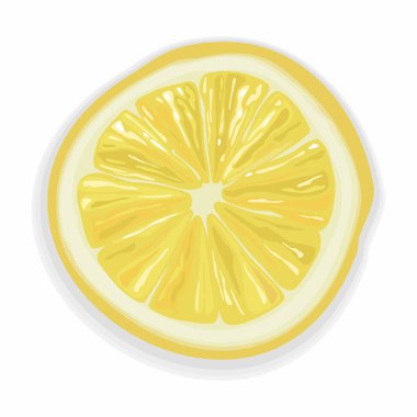Sulu limon dilimi gerçekçi vektör görüntü.