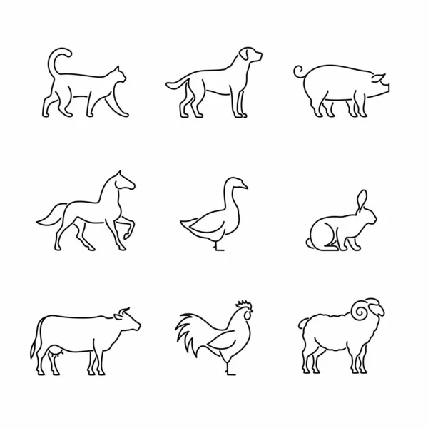 Animales Granja Iconos Vectoriales Aves Mascotas Ganado Aves — Vector de stock