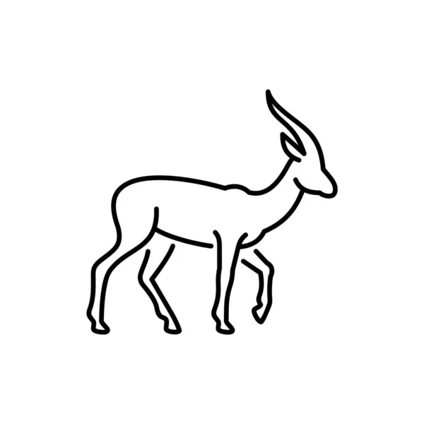 Gazelle Impala Antilop Vektor Ikon Vadon Élő Állat Afrikai Szavannai — Stock Vector