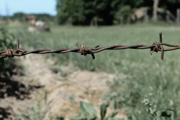 Rusty Barbed Wire Fence in Green Meadow Background in the Farm — Stock Photo, Image