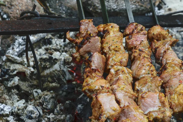 Shashlik Marinado Carne Cerdo Que Prepara Hoguera Por Carbón Vegetal —  Fotos de Stock