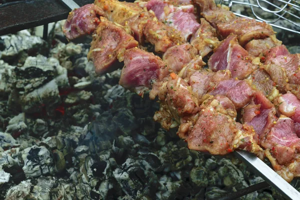 Shashlik Marinado Carne Cerdo Que Prepara Hoguera Por Carbón Vegetal —  Fotos de Stock