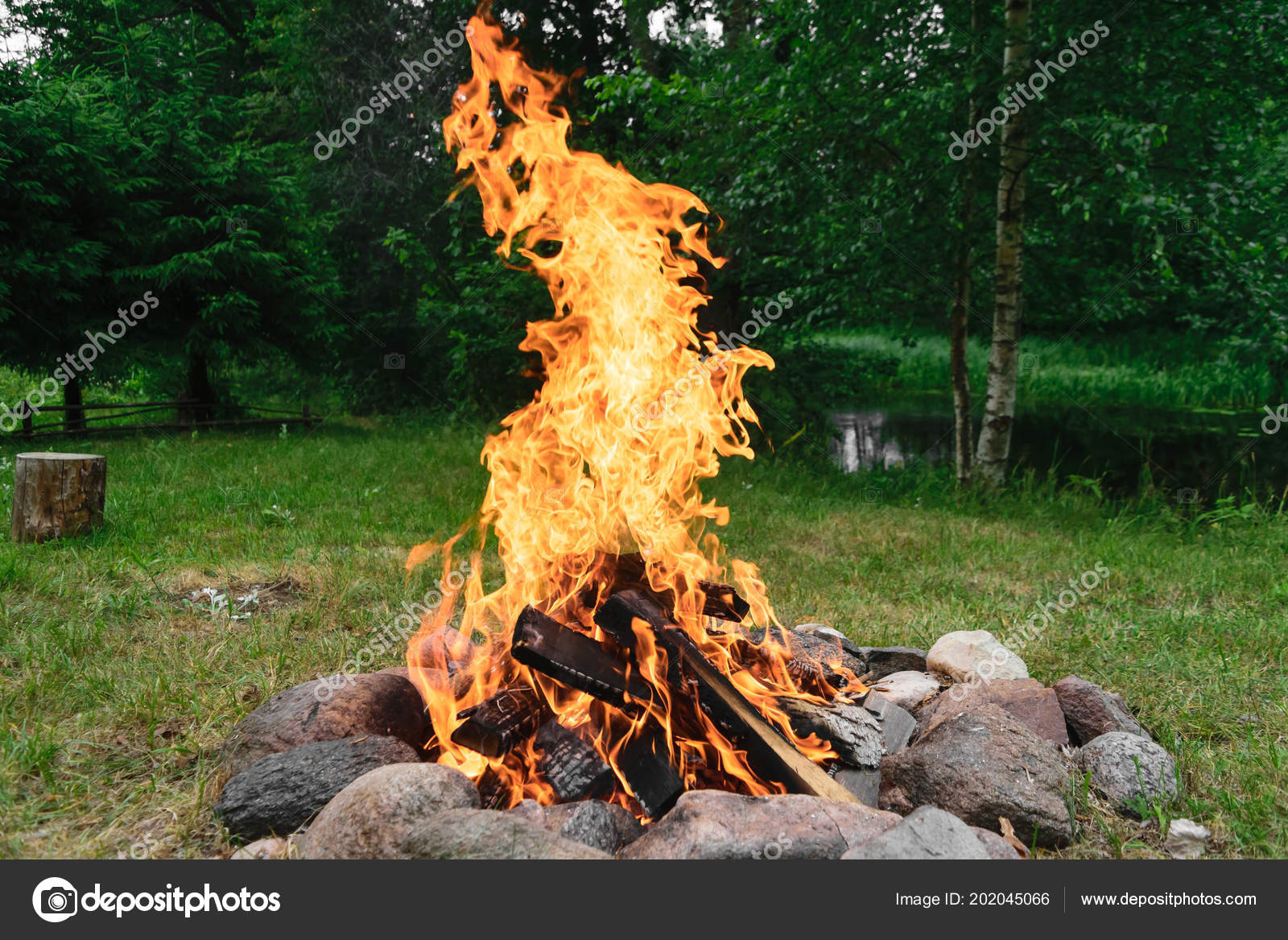 Burning Bonfire Fireplace Stones Nature Stock Photo C Rytis Ber
