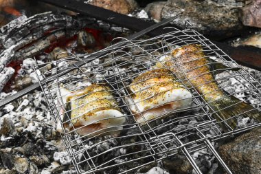 Bir şenlik ateşi kömür kırsal metal sahipleri üzerinde balık taze pike hazırlanması