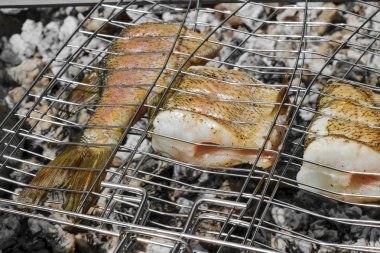 Bir şenlik ateşi kömür kırsal metal sahipleri üzerinde balık taze pike hazırlanması