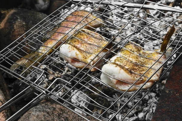 Pescado Fresco Lucio Preparado Una Hoguera Carbón Vegetal Soportes Metálicos —  Fotos de Stock