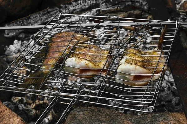 Pescado Fresco Lucio Preparado Una Hoguera Carbón Vegetal Soportes Metálicos —  Fotos de Stock