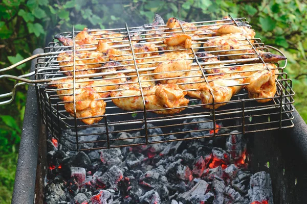 Alitas Pollo Marinadas Preparándose Una Hoguera Carbón Vegetal Naturaleza Verano —  Fotos de Stock