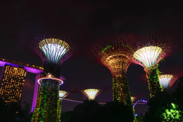 Singapore Oktober 2018 Nachtansicht Der Gärten Der Bucht Und Dem — Stockfoto