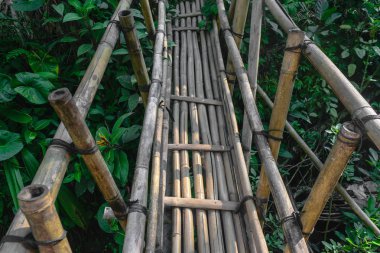 Eski bambu köprünün ortasında Bali Adası, Endonezya yağmur ormanları
