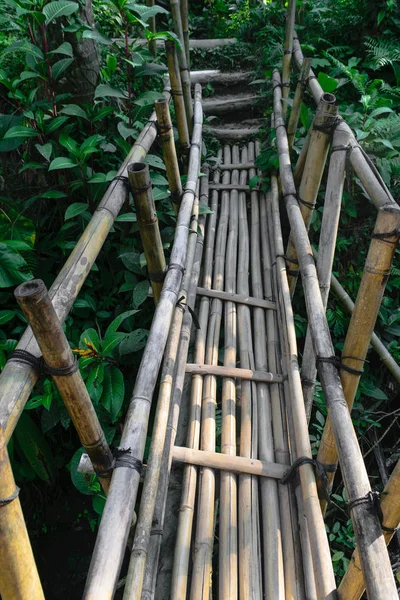 Eski Bambu Köprünün Ortasında Bali Adası Endonezya Yağmur Ormanları — Stok fotoğraf
