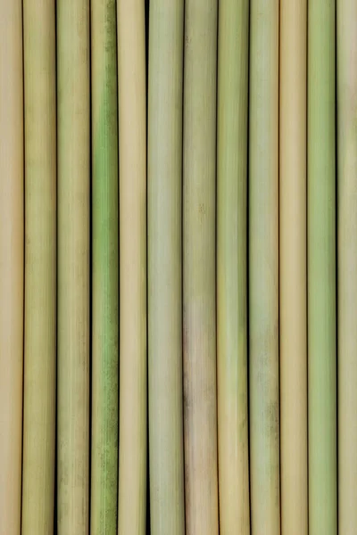 Superfície Fundo Paus Bambu Colocados Lado Uns Dos Outros — Fotografia de Stock