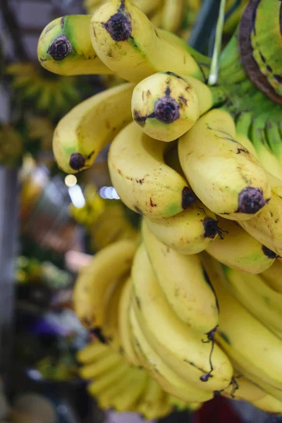Πολλά Πακέτα Μπανάνα Κρέμονται Τοπική Αγορά Φρούτων Στην Ινδονησία — Φωτογραφία Αρχείου