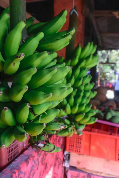 Muchos Paquetes Plátanos Verdes Inmaduros Colgando Mercado Local Frutas Indonesia —  Fotos de Stock