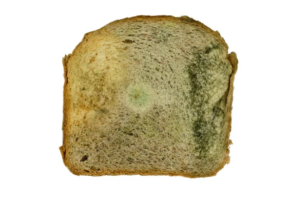 Jedna Kromka Białego Chleba Formy Białym Tle — Zdjęcie stockowe