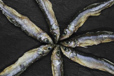 Siyah arka plan üzerinde balıklar Kuru küçük Avrupa çemberi kokuyordu