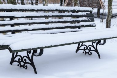 Kışın karda orman kaplı ahşap siyah tezgah