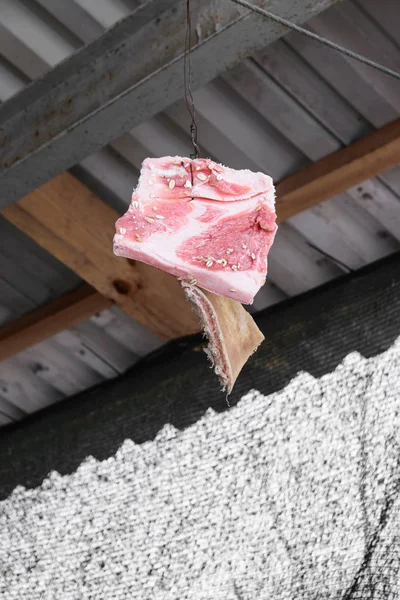 Hanging piece of red animal fat for birds feeding during wintertime