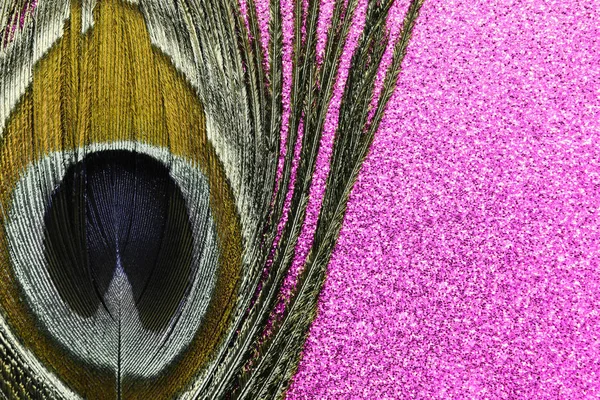 Pena pavão dourado no ping fundo brilhante — Fotografia de Stock