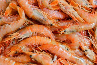 Pembe karides arka plan