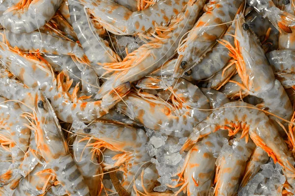 Фон из тигровых креветок на льду — стоковое фото