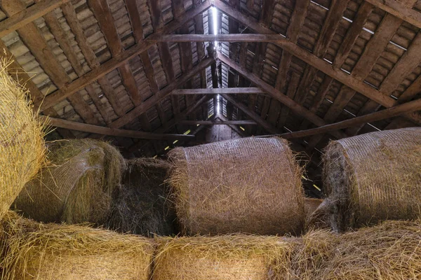 Okrągłe bele siana w stodole — Zdjęcie stockowe