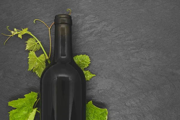 Şarap şişesi ve genç üzüm dalı