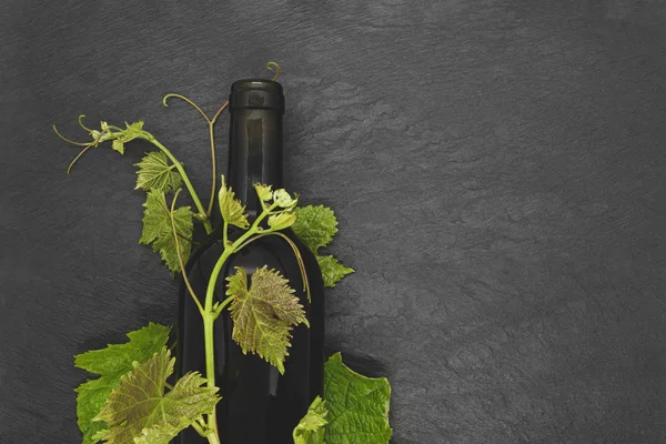 Şarap şişesi ve genç üzüm dalı