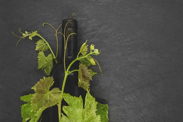 Şarap şişesi ve genç üzüm dalı