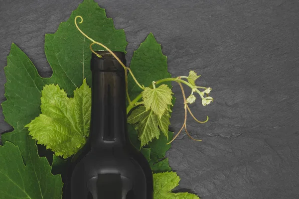 Şarap şişesi ve yaprakları ile genç üzüm dalı