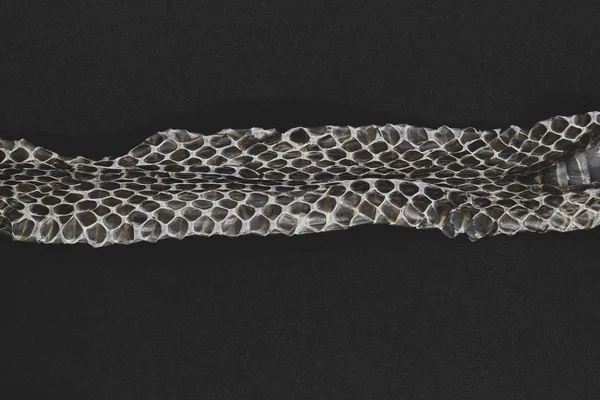 Starých vyřazených hadí kůže — Stock fotografie