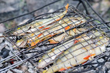 Yaz zamanı şenlik ateşi kömüründe kavrulan levrek. Görüntünün merkezi odak noktası oldu