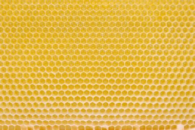 Kopya alanı olan boş bal peteği arkaplanının yakın görüntüsü