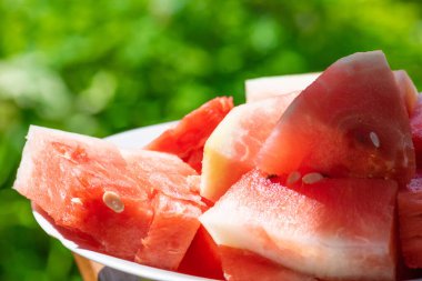 Beyaz tabakta kırmızı karpuz parçaları ve fotokopi alanı ile bulanık yeşil arka planda yaz güneşi tarafından aydınlatılmış.