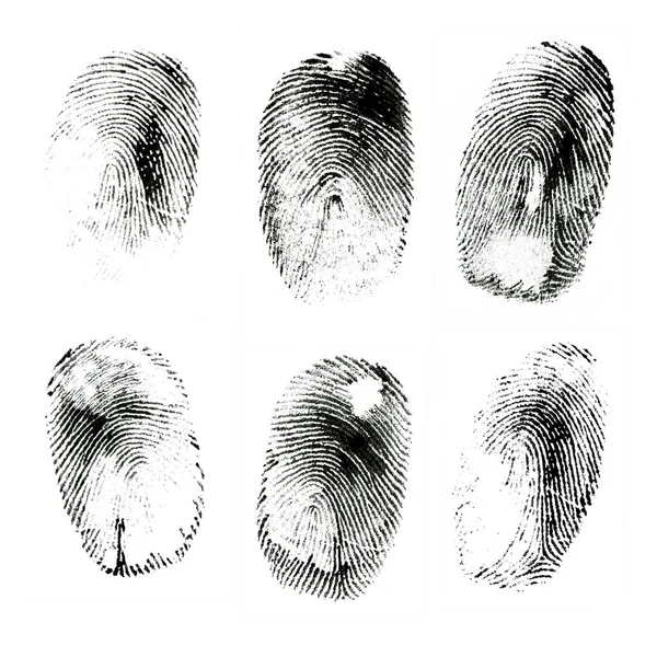 Macro Shot Various Black Ink Human Fingerprints Isolated White Background — Stock Photo, Image