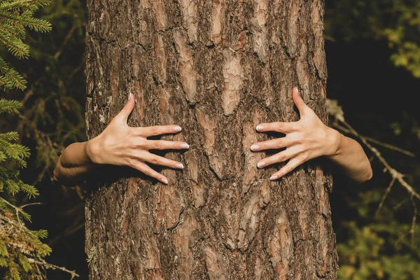 Nsan Doğa Kavramı Kadın Elleri Fotokopi Alanı Olan Koyu Yapraklı — Stok fotoğraf
