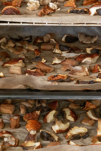 Boletus 'un (boletus edulis) soyut arkaplan mantar parçaları fırında kuruyor.